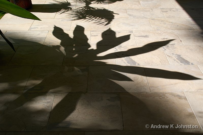 0414_GX7_1050877.jpg - Shadows on floor at Clifton Hall House